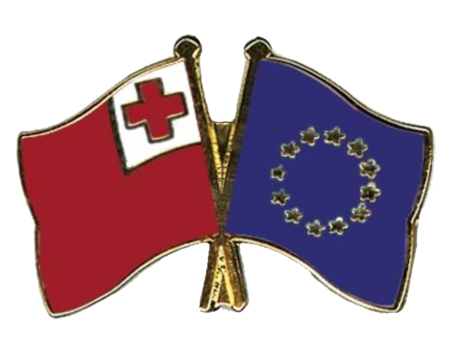 Tongan Consul General calls on Head of European Commission in Portugal - Consulate General of the Kingdom of Tonga in Portugal