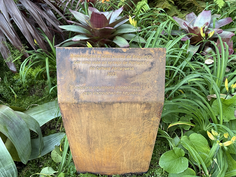 News - Consulate-General of the Kingdom of Tonga in Portugal