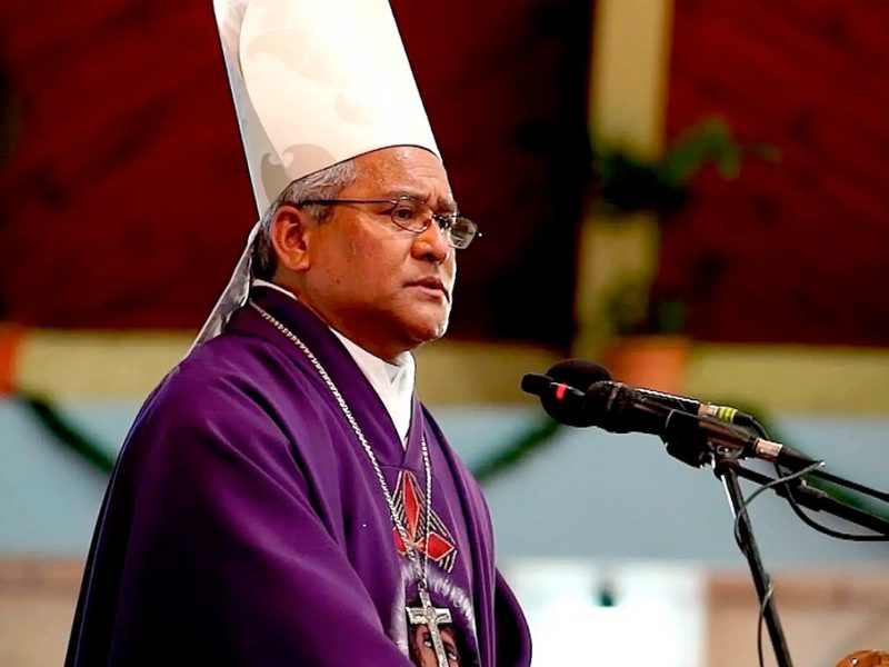cardinal-soane-patita-paini-mafi